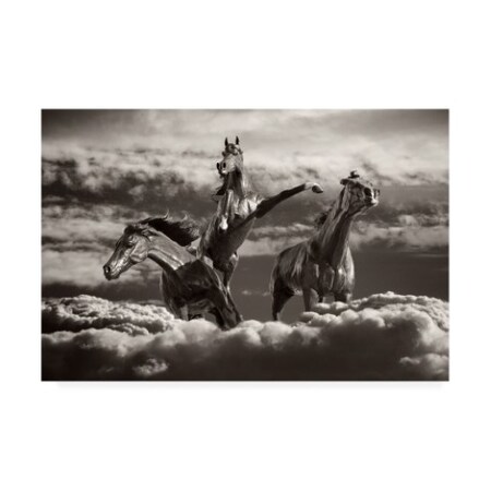 Monte Nagler 'Cloud Dancers' Canvas Art,30x47